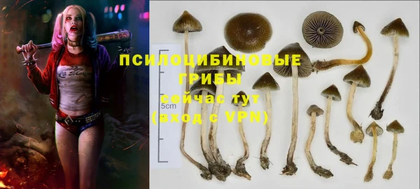 дурь Абаза