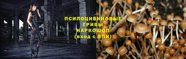 каннабис Абинск