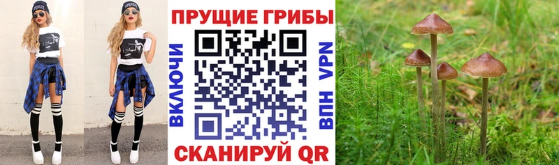 ссылка на мегу ссылки Углегорск Псилоцибиновые грибы ЛСД