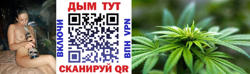 Шишки марихуана сатива  как найти закладки  Углегорск 